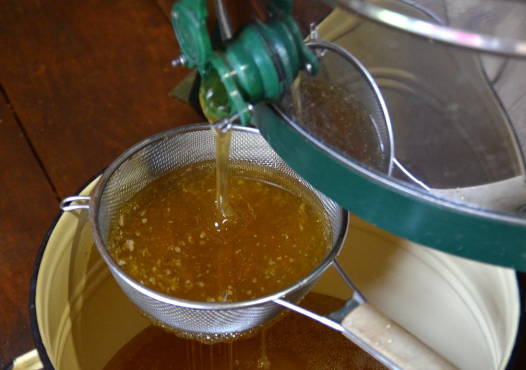 Свята мёду зладзілі ў аграсядзібе «Хутар Малінаўка» (фота)