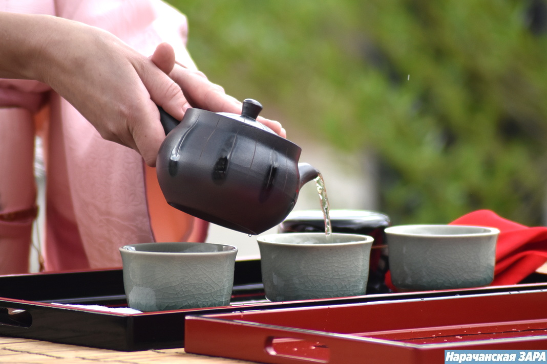 В «Аптекарском саду» любовались сакурой и участвовали в японской чайной церемонии (фото)