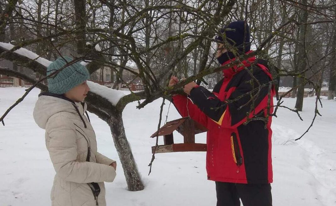 Учащиеся Сырмежской школы сделали кормушки для птиц