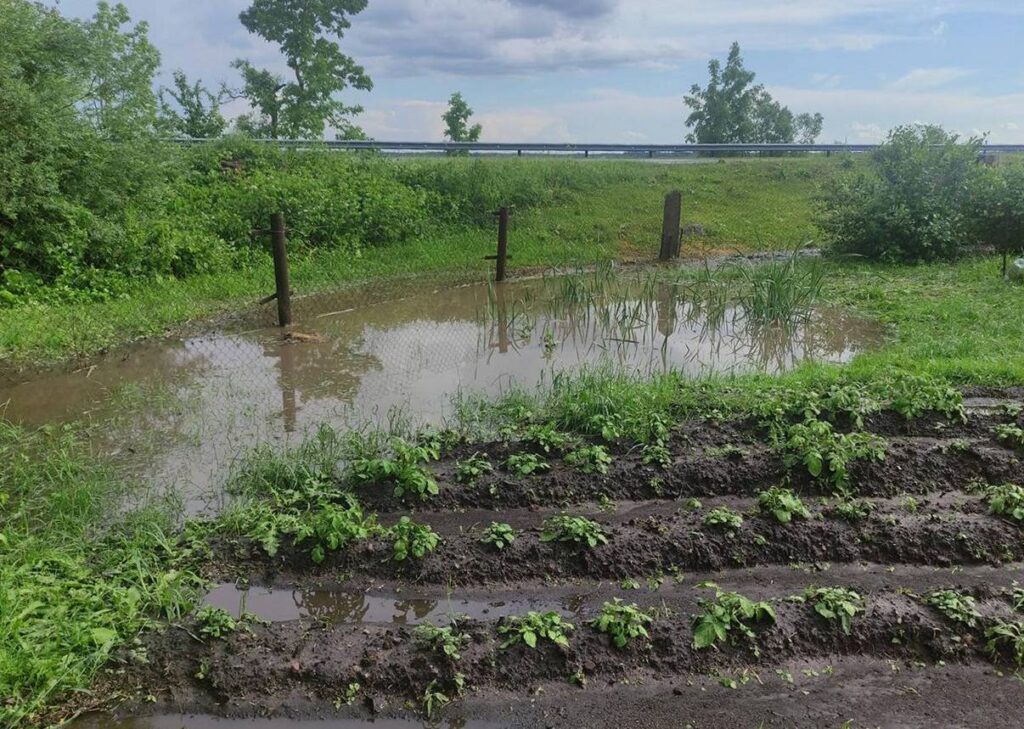 Фотофакт: огороды в низинах ушли под воду