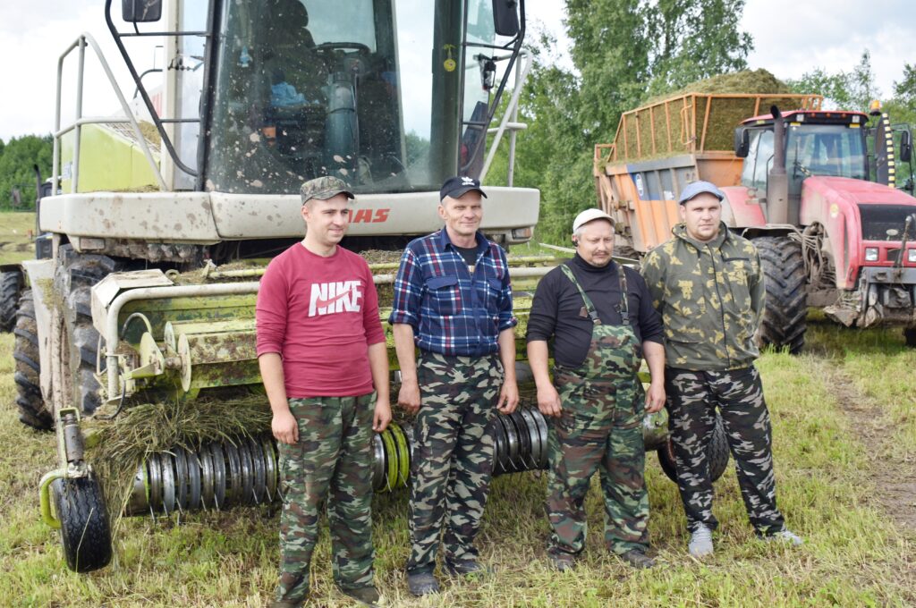 Кубак… за касавіцу. Як нарыхтоўваюць кармы ў сельгасфіліяле «Дзягілі»