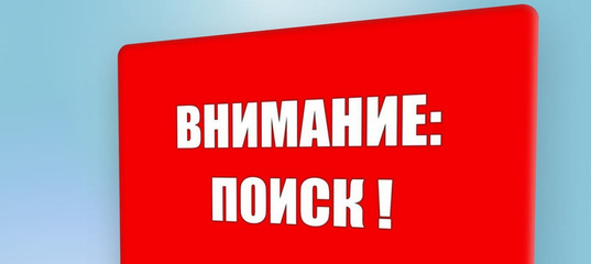 Ищут 75-летнего жителя деревни Зани