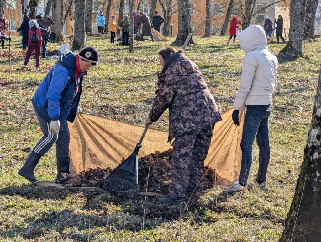 Мядельщина любит чистоту. 25 октября пройдет республиканский субботник