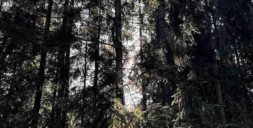 В Мядельском районе ищут человека