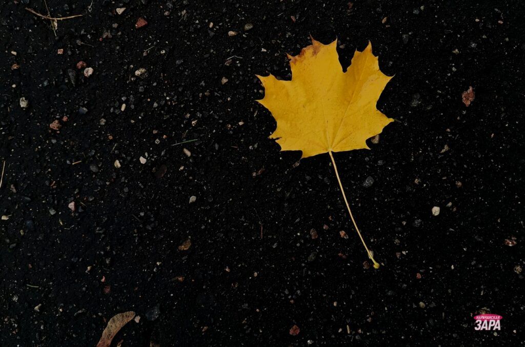 Синоптик Рябов сообщил, какой в Беларуси будет погода в ноябре