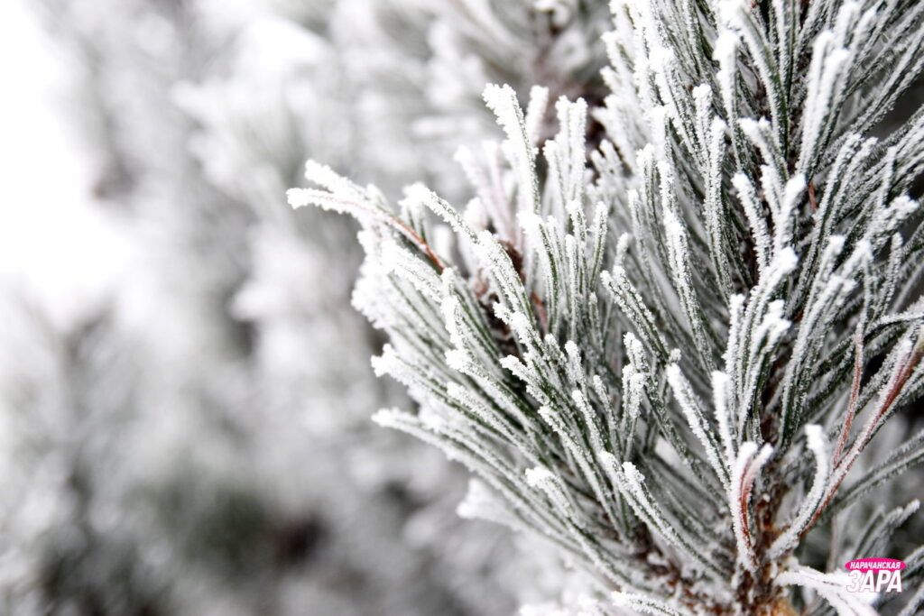 Длинные выходные в декабре ждут белорусов