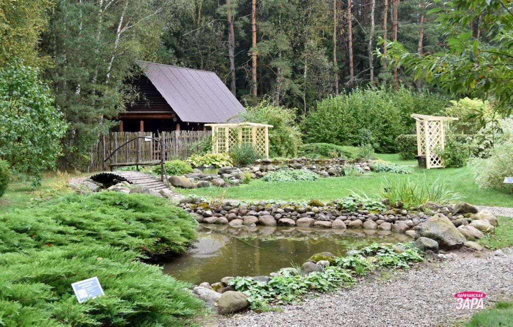 В Нарочанском крае станет на одну новогоднюю площадку больше