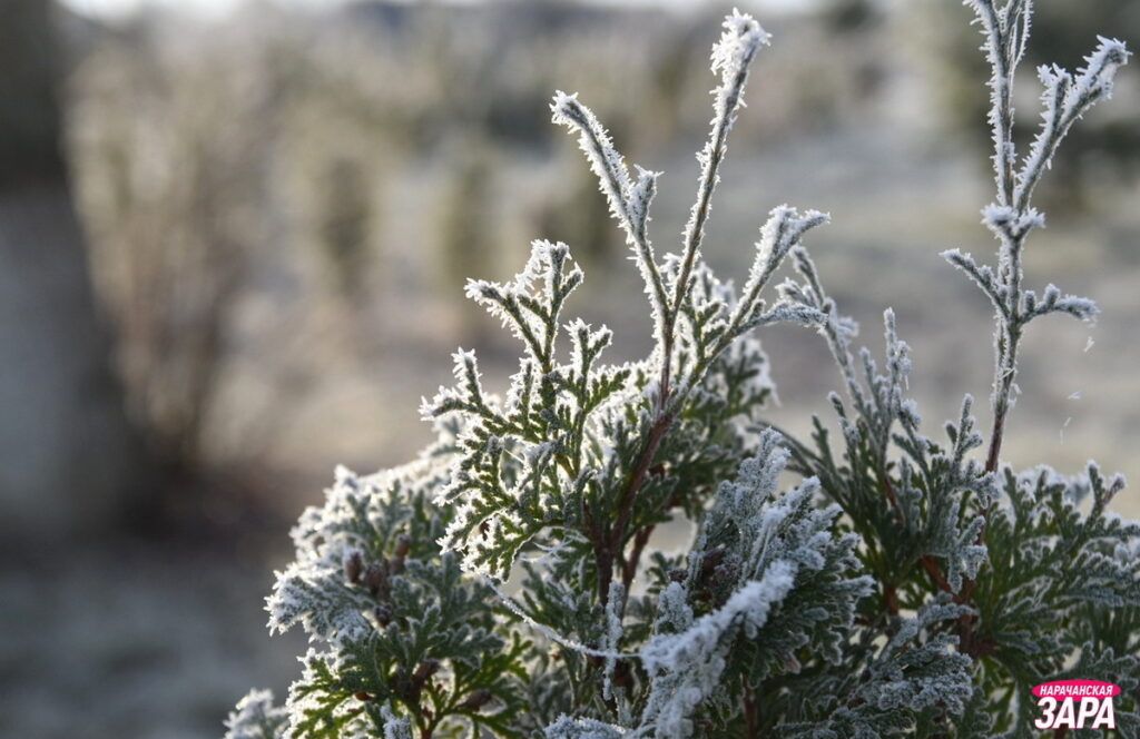 Зима возвращается: синоптики предупредили о резком похолодании в Беларуси в выходные