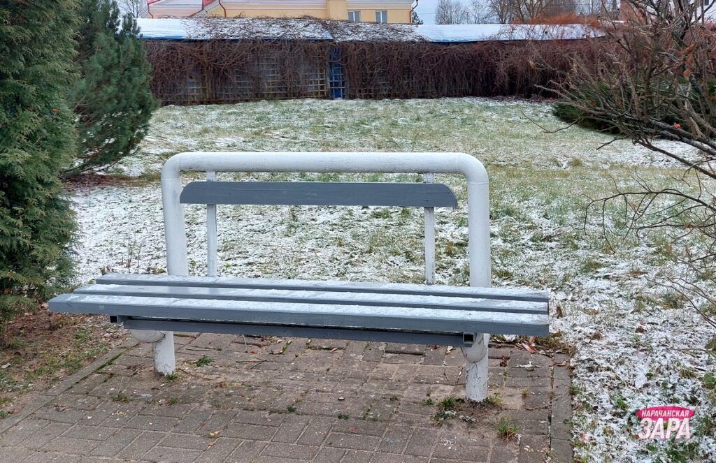 Владелицу сумки ищут в Мяделе