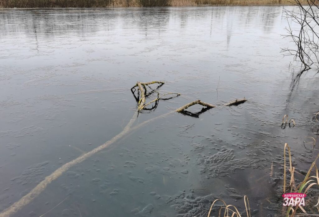 Какая погода будет в Беларуси на католическое Рождество, рассказал синоптик Рябов
