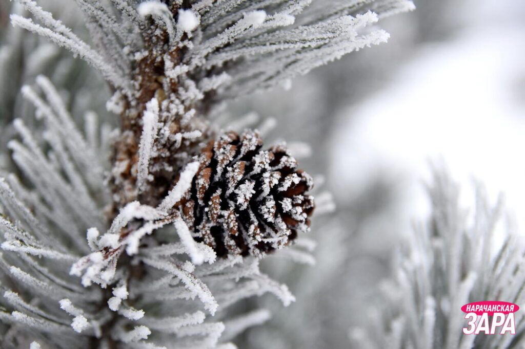 Какой будет зима в Беларуси, рассказал Дмитрий Рябов