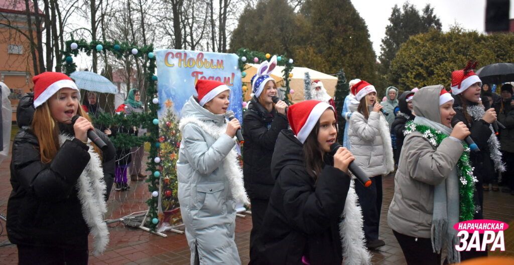 В Мяделе зажгли главную ёлку