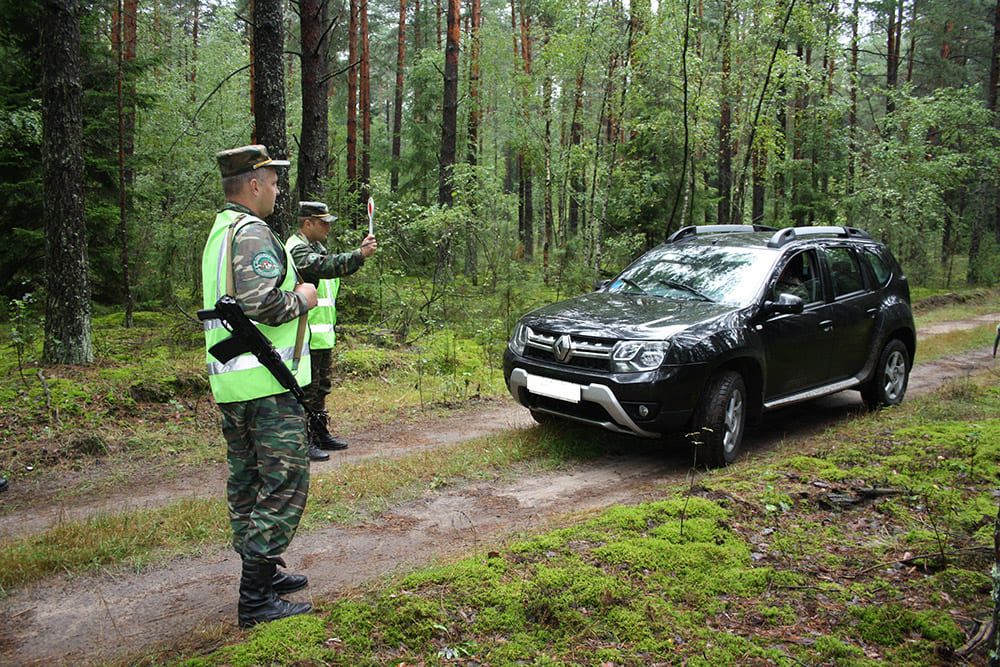 В Беларуси мужчина нелегально добыл бобра – сколько придётся заплатить