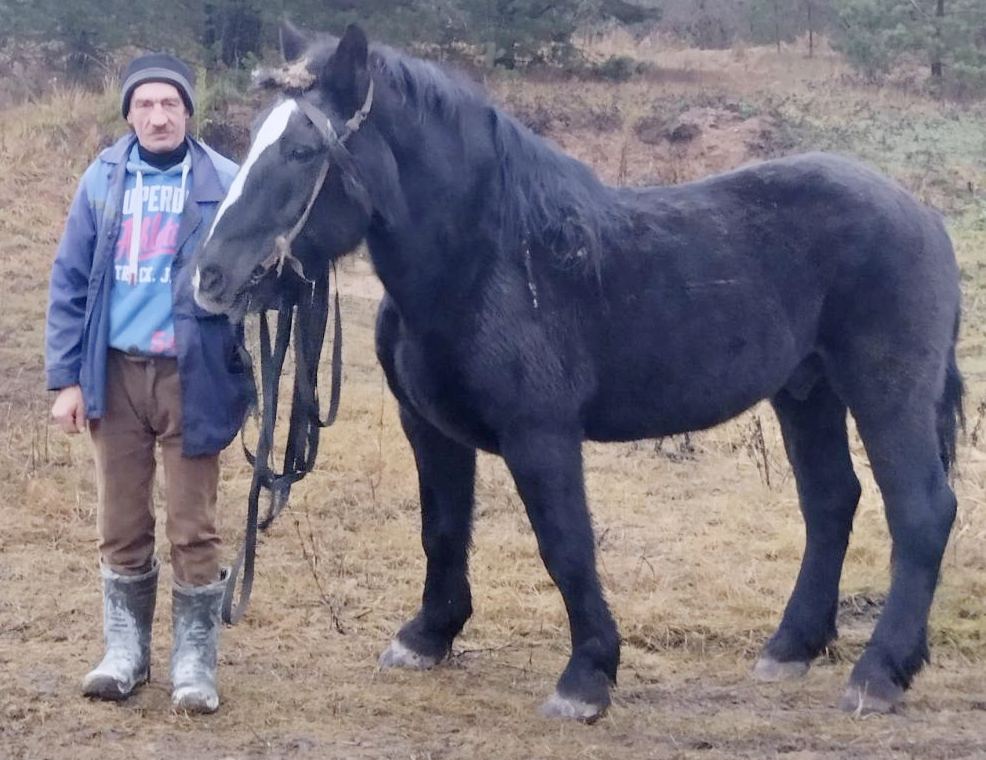 Любит конфеты и убегает на малую родину. В канун года Лошади познакомились с Буяном