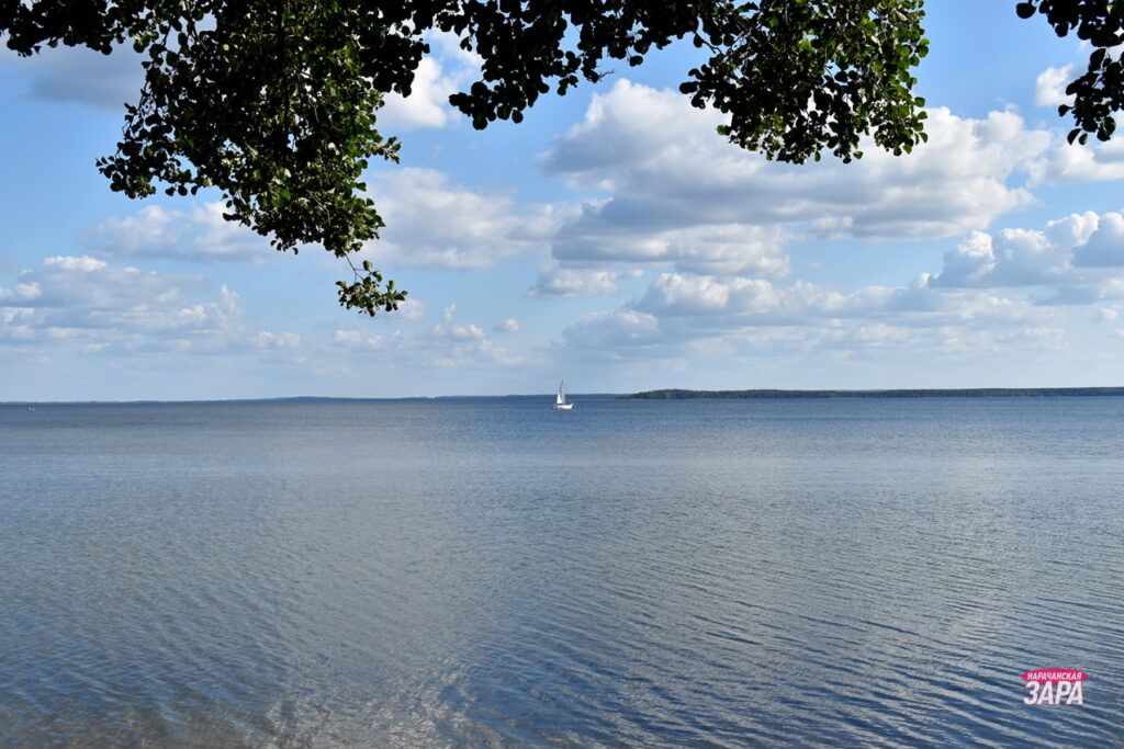В курортном поселке Нарочь на аукцион выставили новые участки под застройку