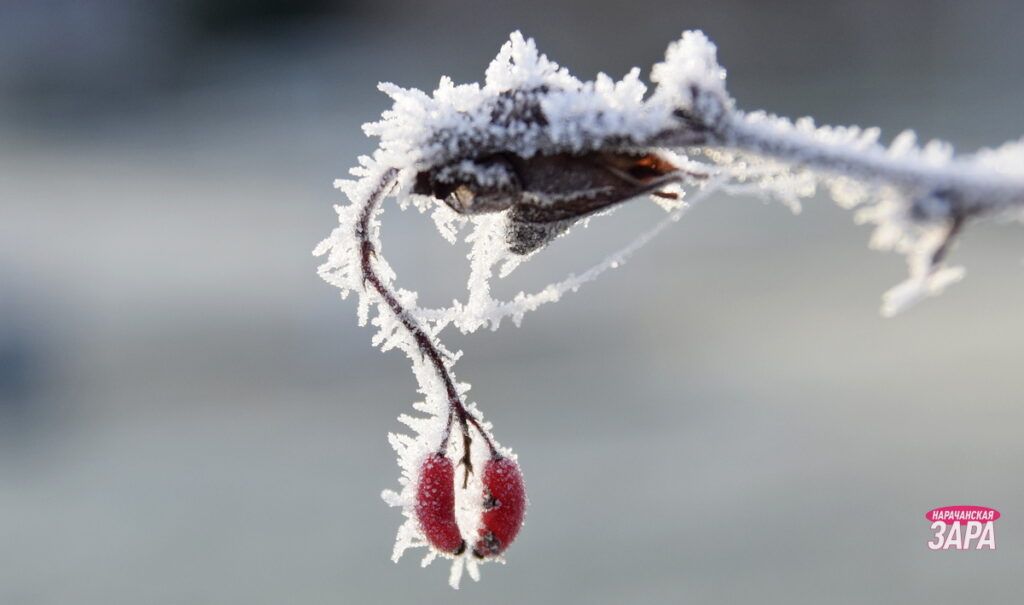 Дмитрий Рябов рассказал, как изменится погода в конце января