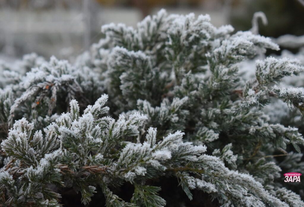 Рассказываем, как пережить сильное похолодание без последствий 