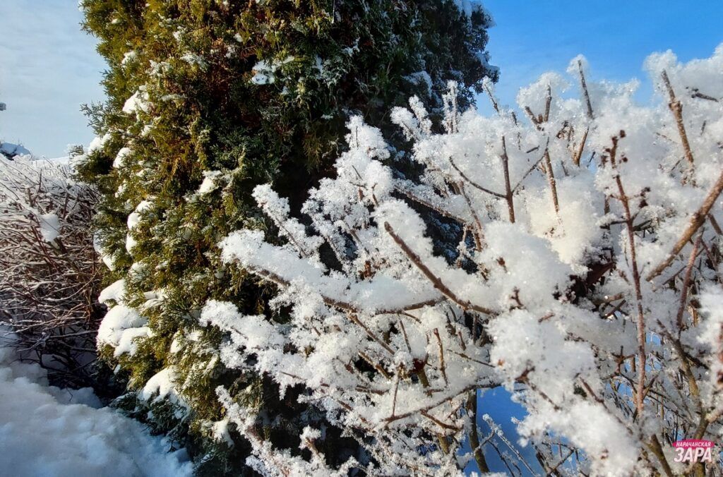Беларусь готовится к морозам: повысили температуру в теплосетях