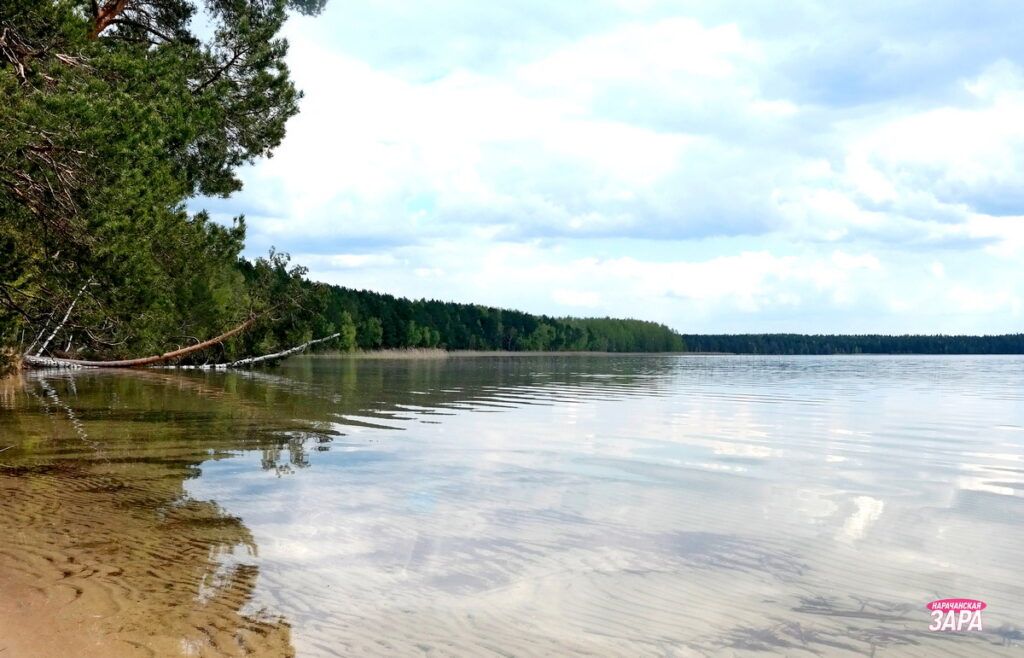 Сохранение озера Белое. Что еще в плане управления Национальным парком «Нарочанский»