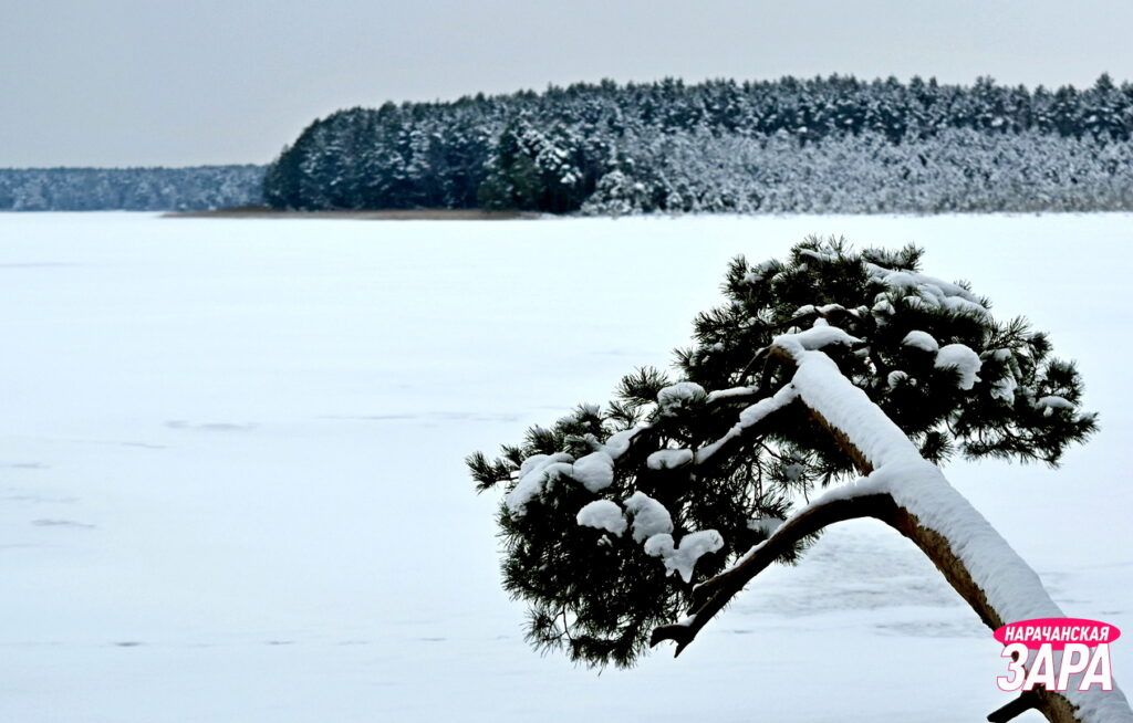 Озеро Белое превращается в зимнюю сказку под снежным покрывалом