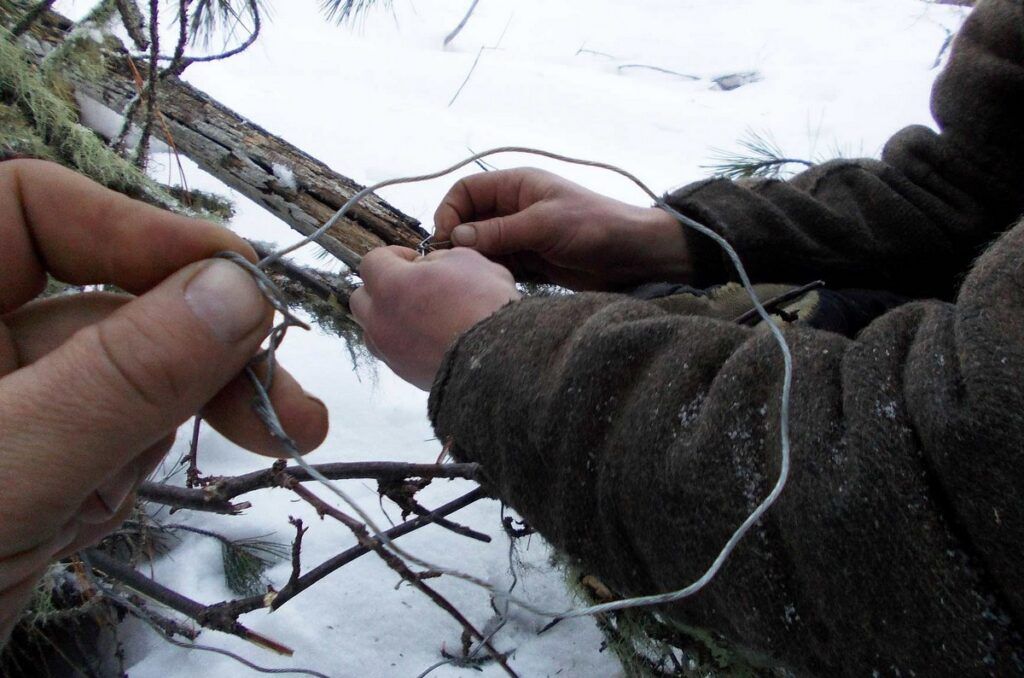 Хладнокровные и жестокие: в лесах орудуют браконьеры-петельщики