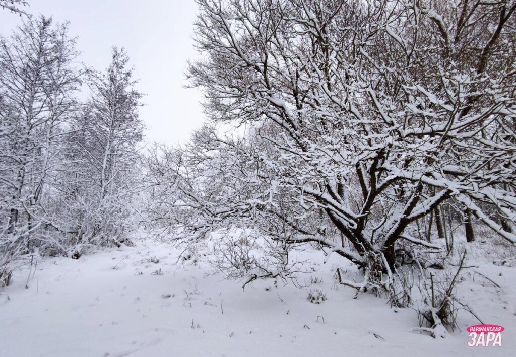 Синоптик Рябов прогнозирует сильные снегопады и метели в начале января