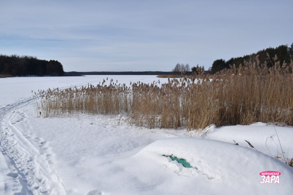 Погода сменит мороз на оттепель перед началом весны, рассказал Дмитрий Рябов