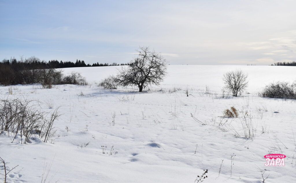 Оценили, сколько стоят все земли Беларуси