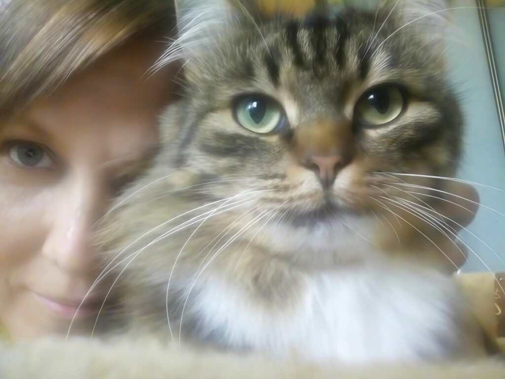 Верю, что каждый кот найдет своего хозяина – о подробностях волонтерской работы рассказывает Наталья Щербицкая