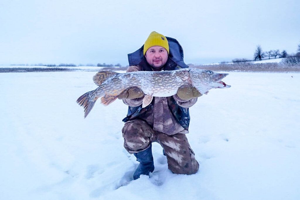 Щуку рекордного размера поймал житель Постав