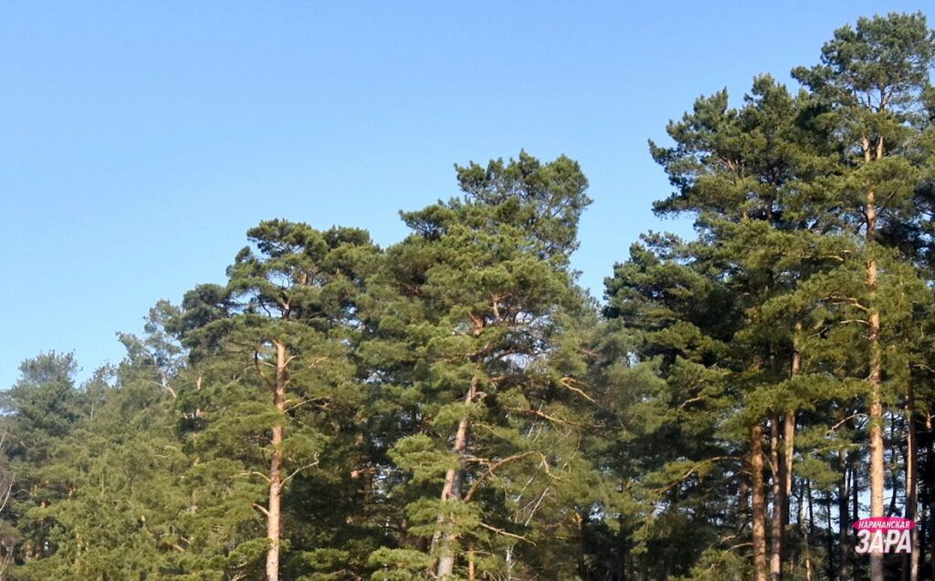 Рассказываем, кто может бесплатно или на льготных условиях отдыхать в санаториях