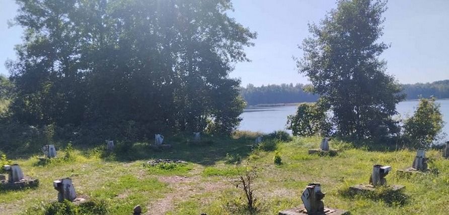 В нарочанском крае можно стать владельцем перспективного места для строительства турбазы возле озера
