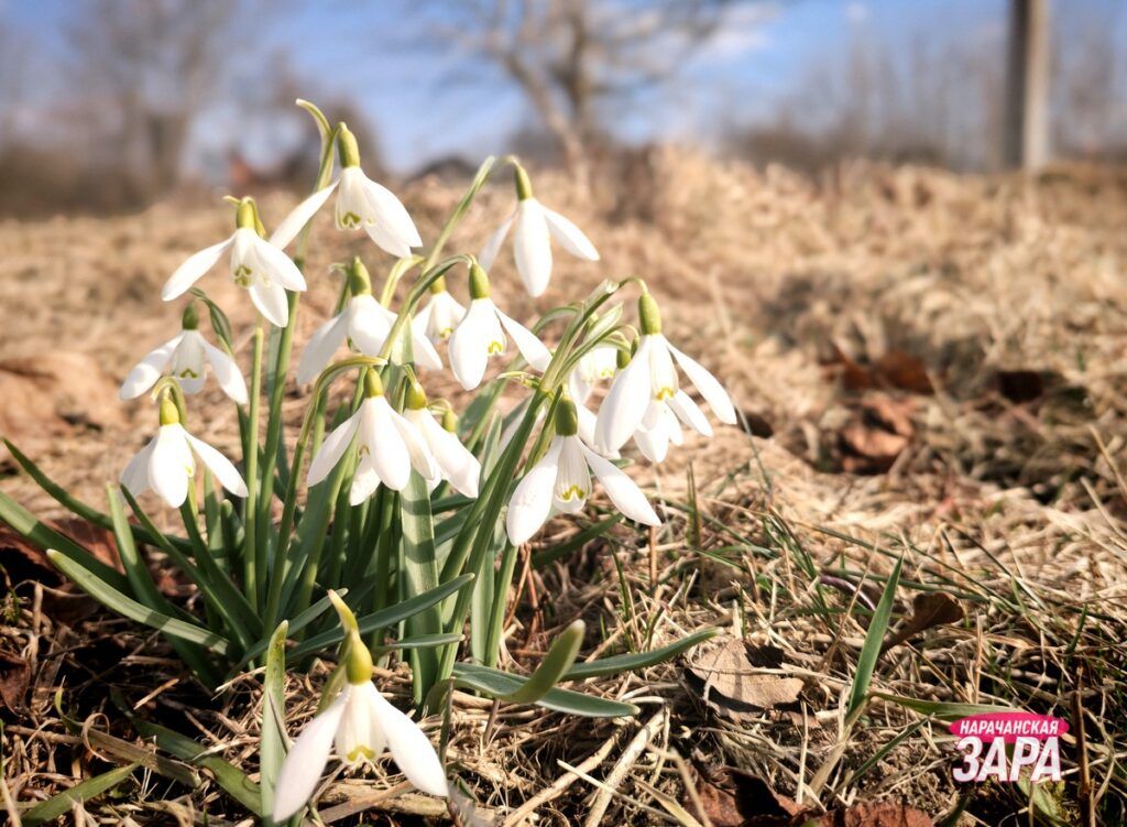 Какая погода будет в апреле в Беларуси, рассказал Дмитрий Рябов