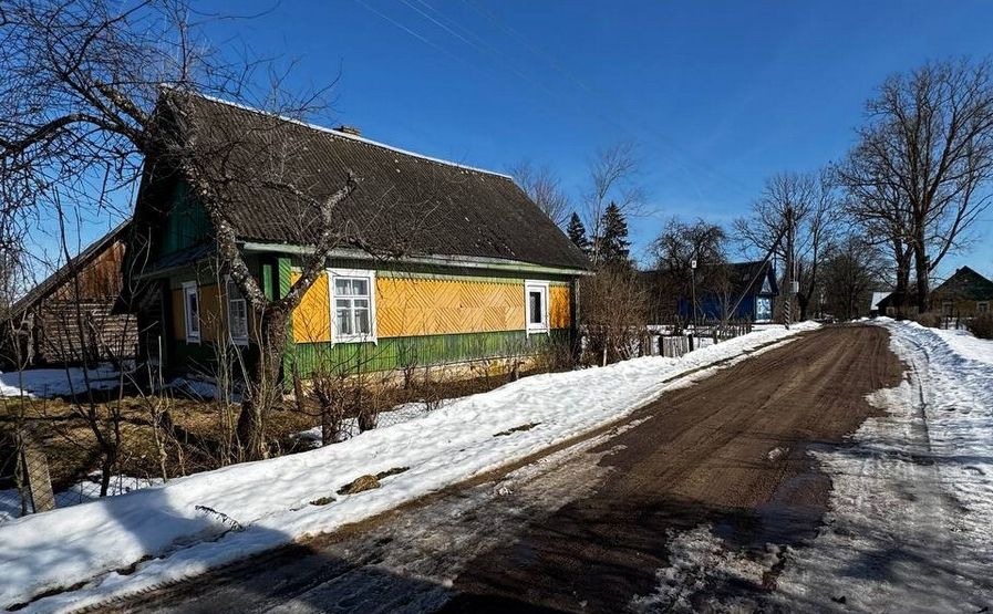 Пользователи TikTok раскритиковали объявление о продаже дома под Нарочью 