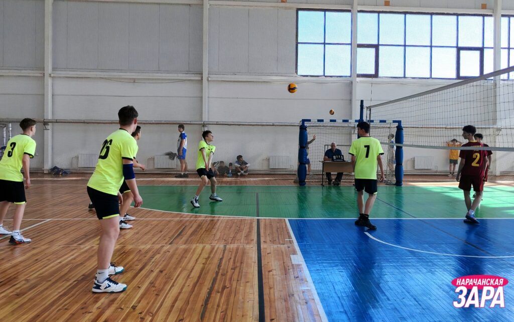 Юные волейболисты Минской области определили лучших в Мяделе