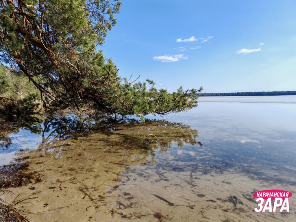 Прогуляемся ранней весной возле озера Белое