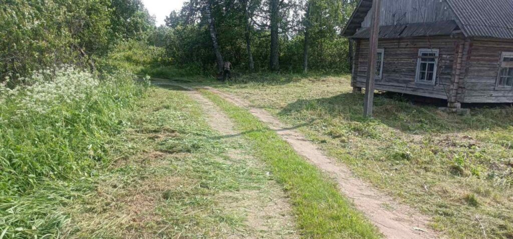 Дешевый участок в Крутях: ищем плюсы и минусы