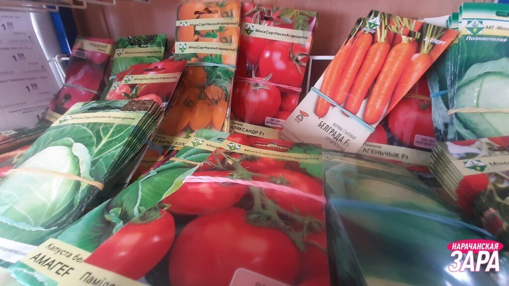 Не вершки, но корешки: оценили какие семена продаются в Сватках