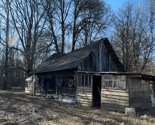 20 тысяч долларов за хутор под Минском: пользователи TikTok хихикают в комментариях