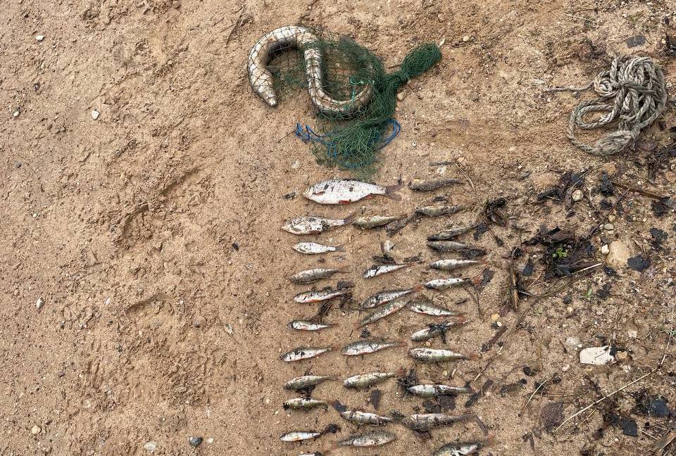 Поймал угря: поставчанина привлекут за браконьерство на реке Мяделка