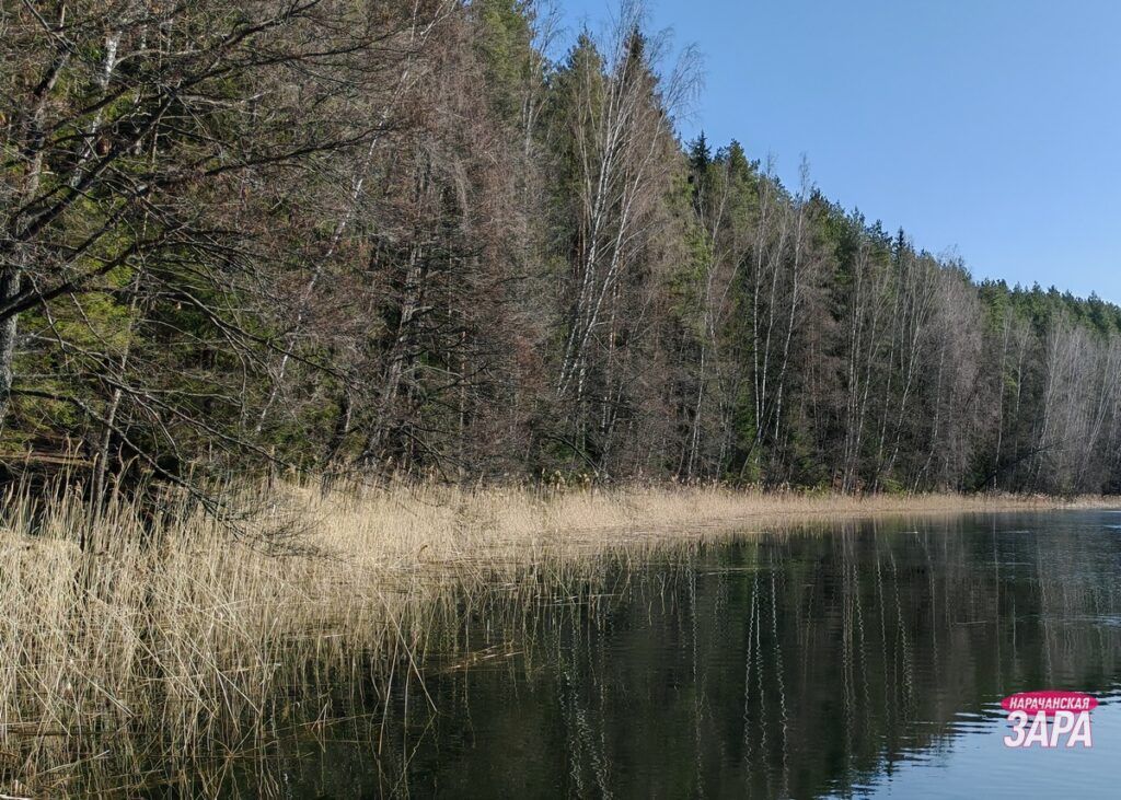 Синоптики объявили штормовое предупреждение из-за заморозков в Беларуси
