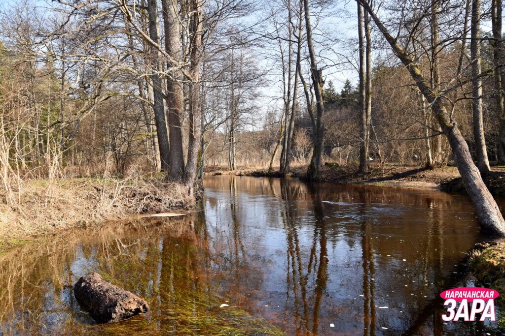 Прогуляемся весной по экотропе на Голубых озёрах