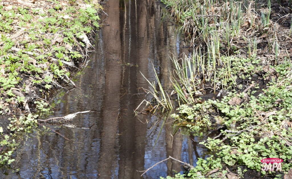 Когда в Беларуси потеплеет, рассказали синоптики