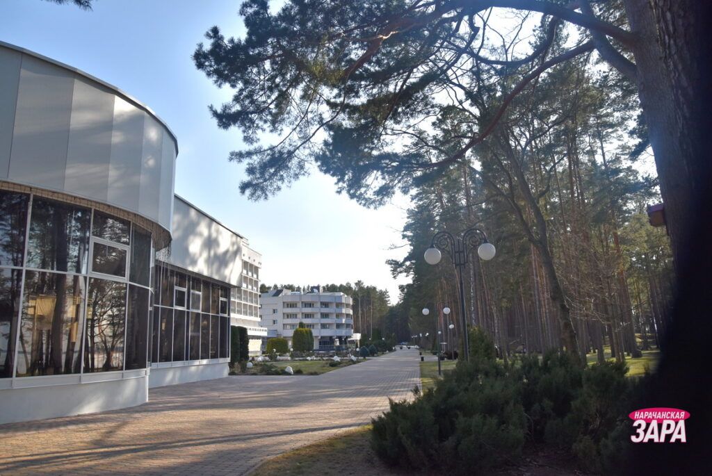 Проводят общественные обсуждения по объекту строительства в санатории «Сосны»