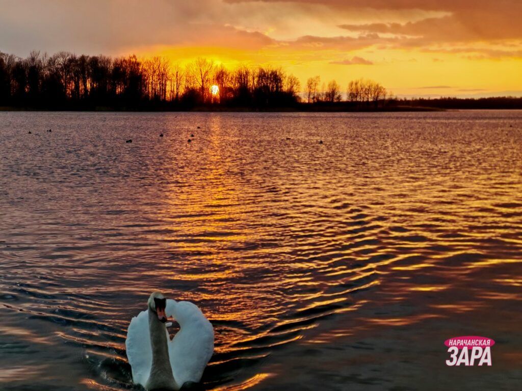 До +20°С будет в Беларуси на следующей неделе, рассказал Дмитрий Рябов