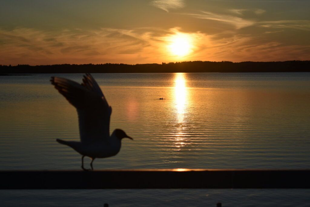 Рассматриваем две версии возникновения озера Нарочь — поэтическую и научную