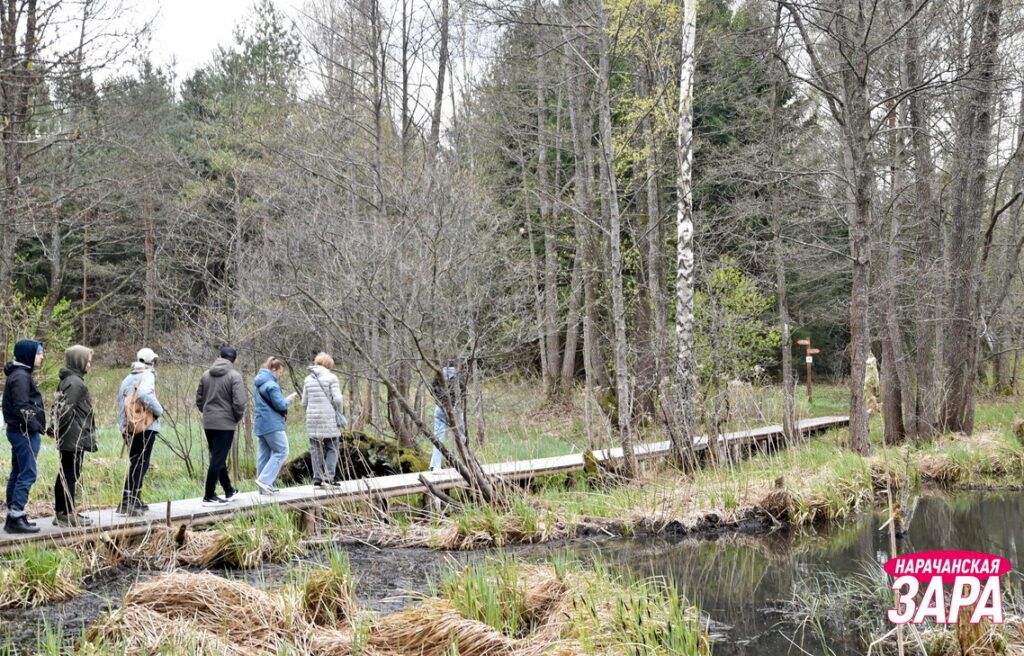 Парк редких растений около Нарочи посетили экскурсанты