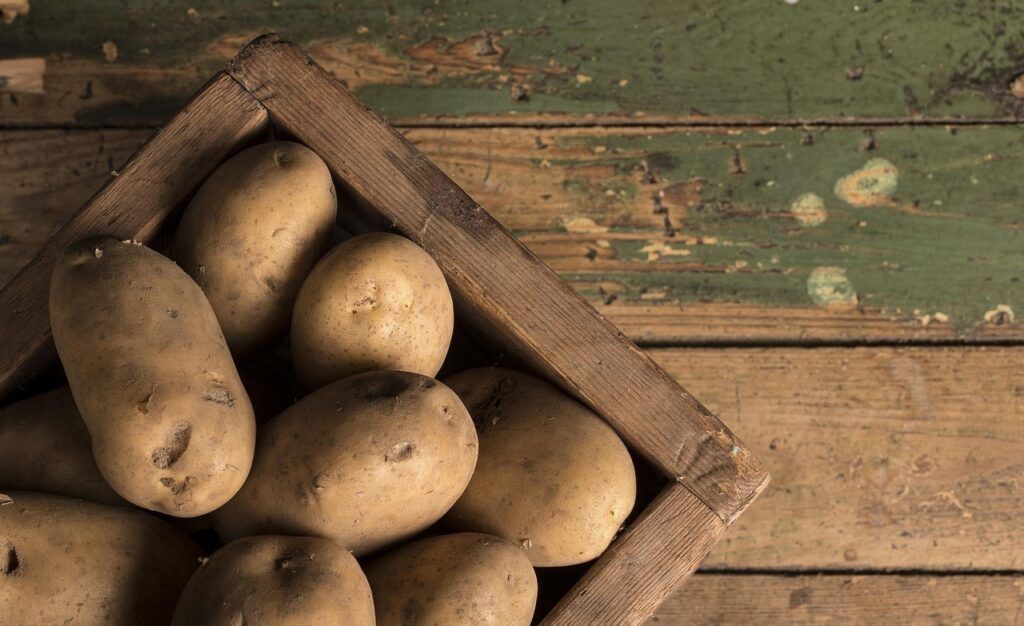 Эколог назвал самый опасный для здоровья картофель
