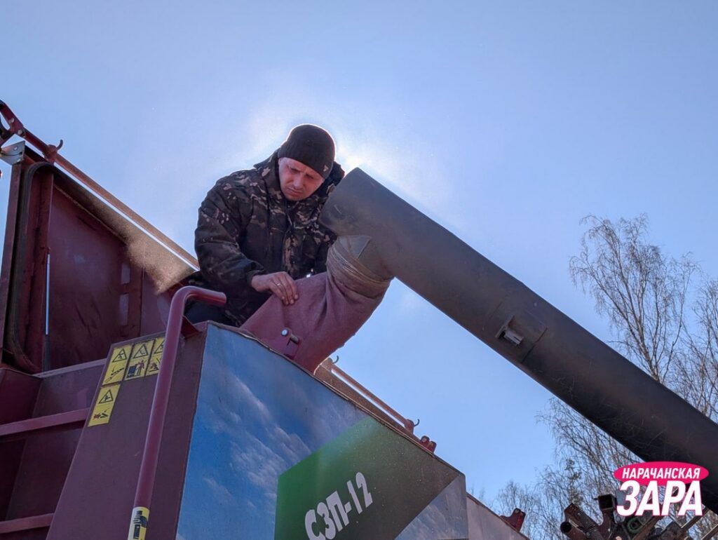 В Кривичах заканчивают сев ранних яровых