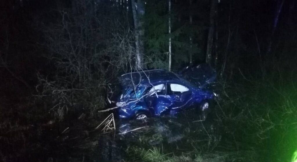 Автомобиль с пассажирами опрокинулся в кювет недалеко от Будслава